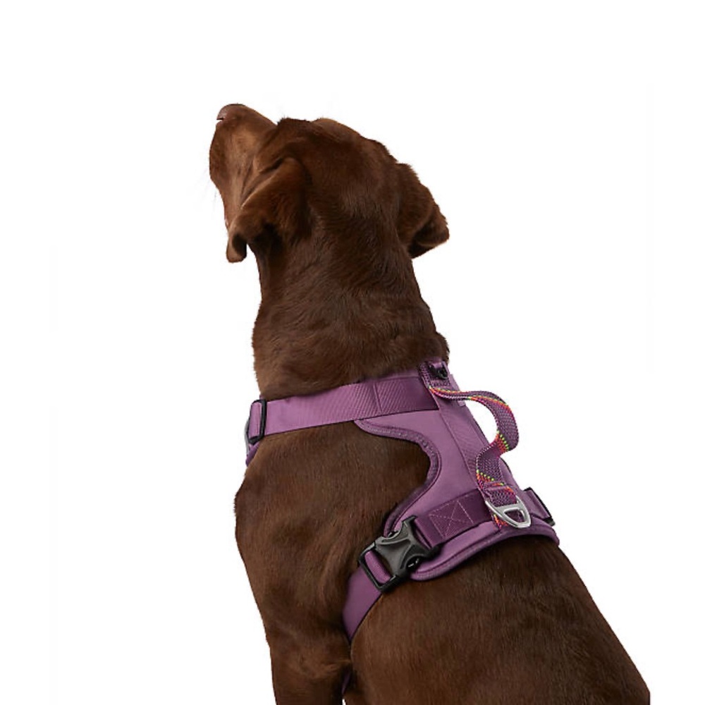 Arcadia Trail™ Neoprene Dog Harness - Reflective, Water-Resistant